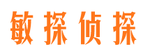 榆树侦探公司